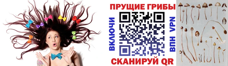 Галлюциногенные грибы прущие грибы  Среднеуральск 
